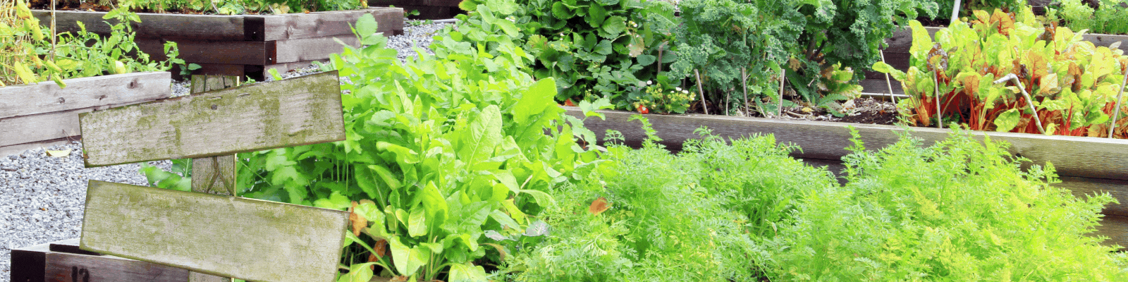 Spring 2024 2-in-1 Craft Box<br />
Everything you need for 2 printmaking crafts